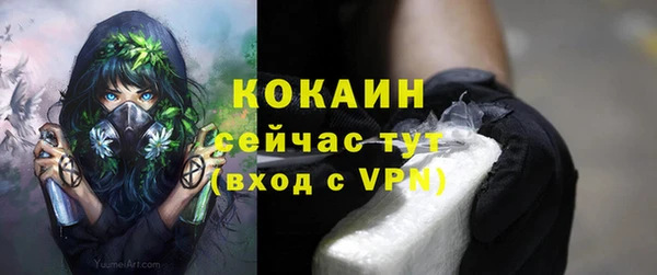 мяу мяу мука Корсаков