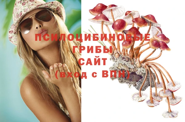 МДМА Козловка