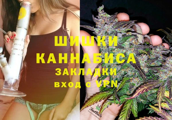 дурь Коряжма
