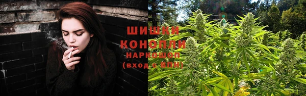 винт Костерёво
