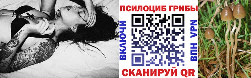 Галлюциногенные грибы Magic Shrooms Пласт