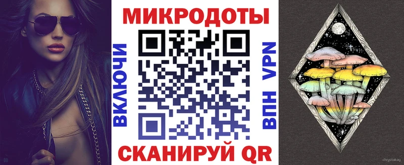 Купить  Пласт  Галлюциногенные грибы Psilocybe 